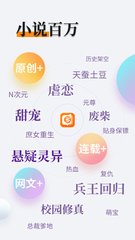 爱游戏APP网页版入口